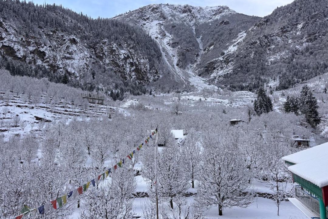 Photo of Others in Sangla