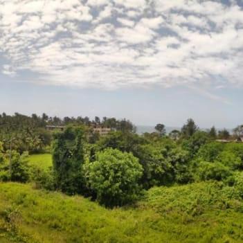 Photo of Others in Murud