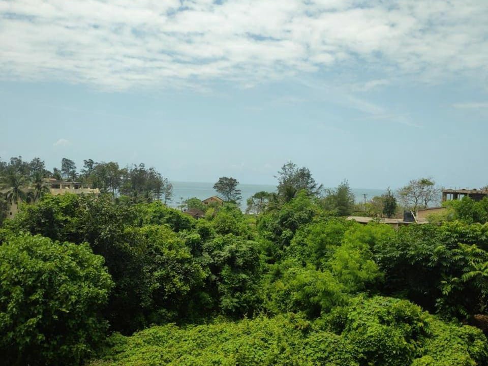Photo of Others in Murud