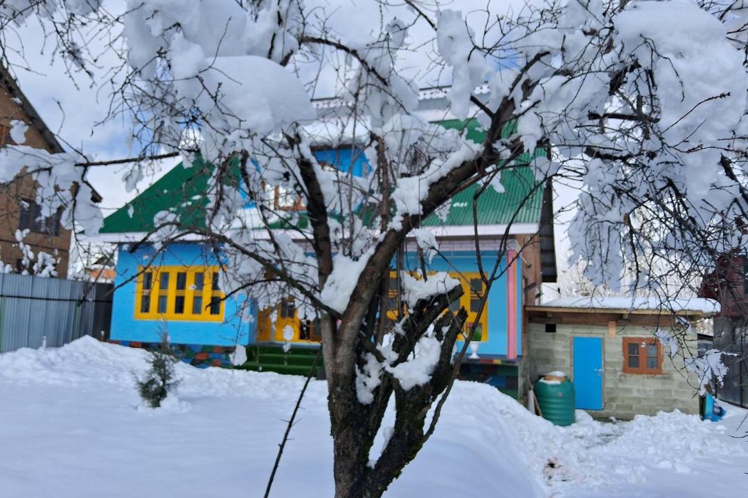 Photo of Others in Srinagar