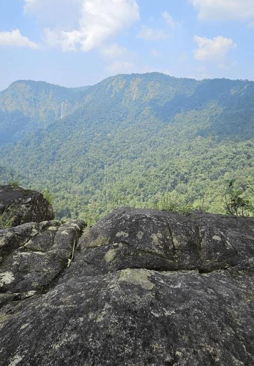 Photo of Others in Agumbe