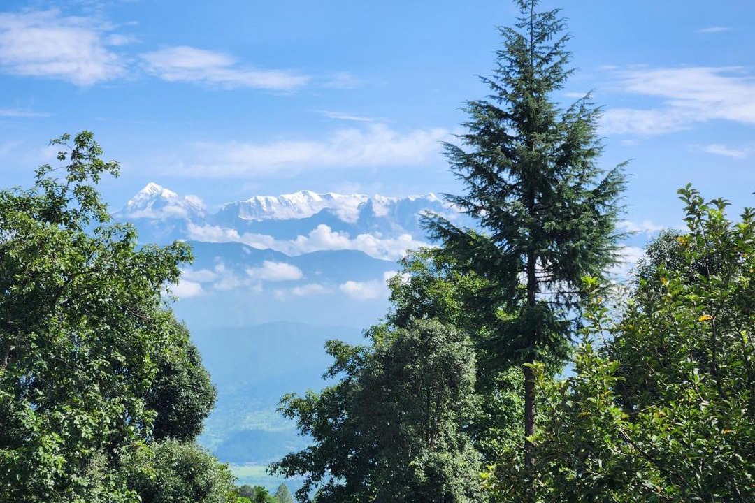 Photo of Others in Kausani