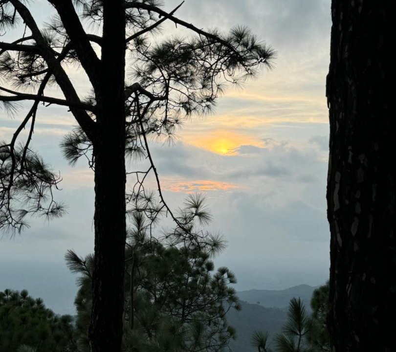 Photo of Others in Kasauli