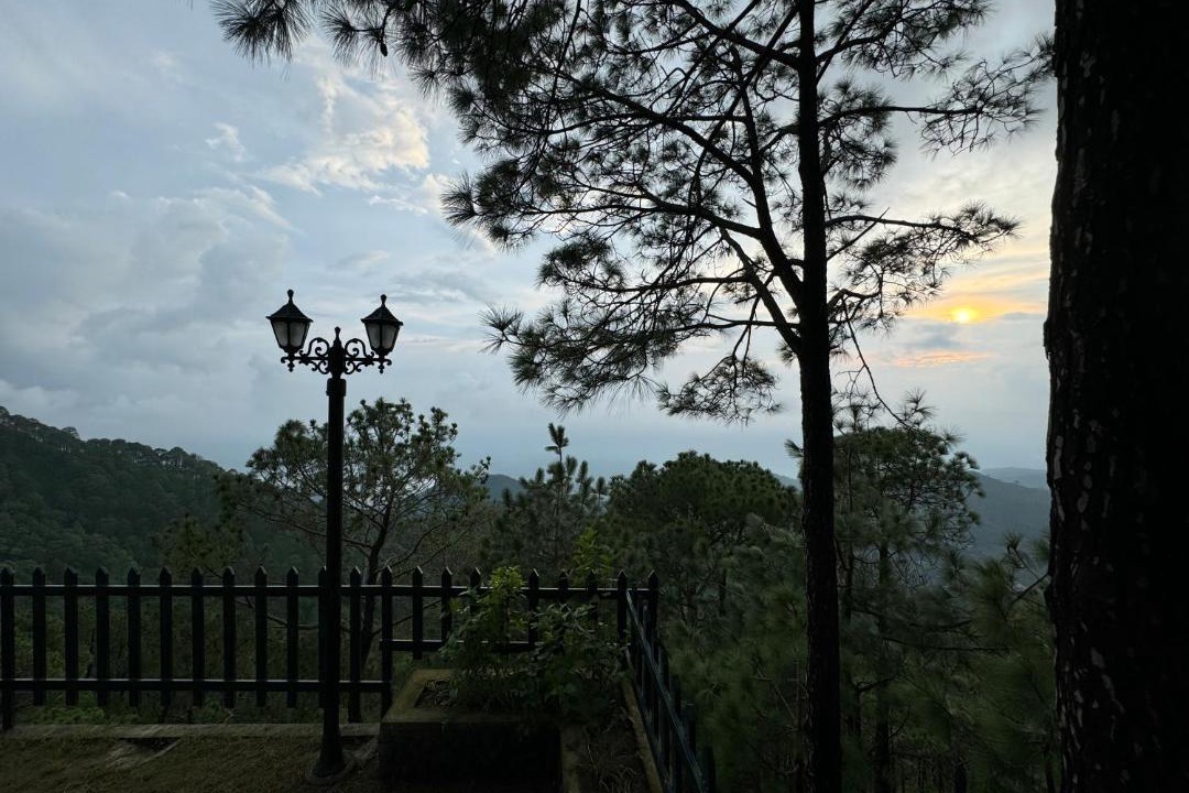 Photo of Others in Kasauli