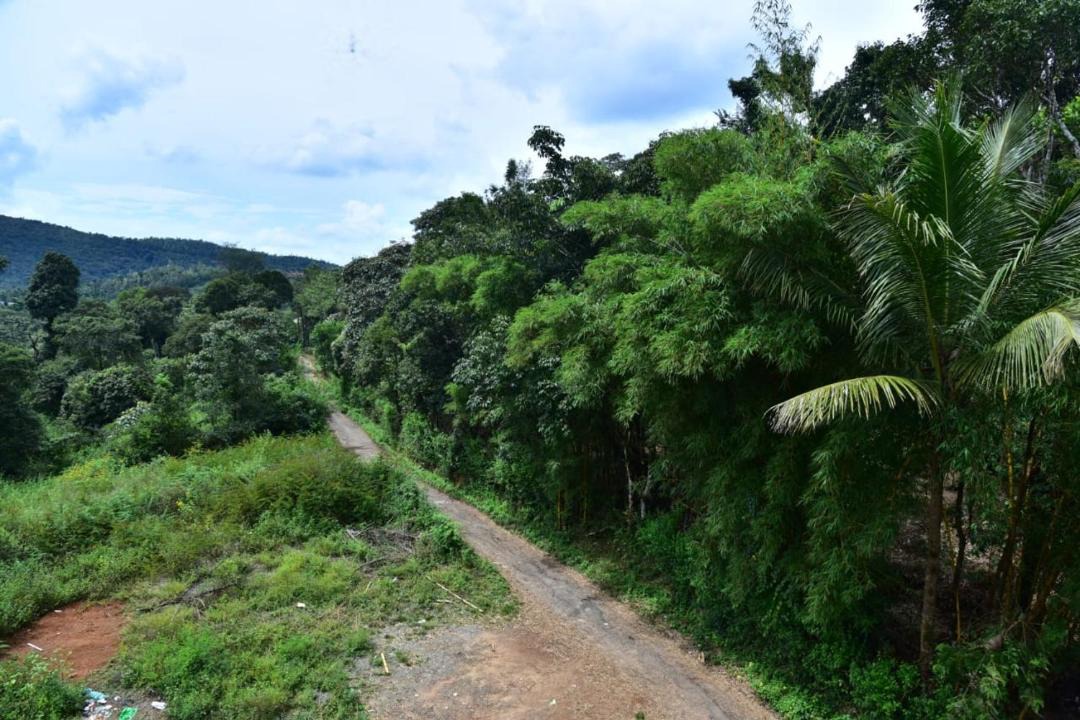 Photo of Others in Madikeri