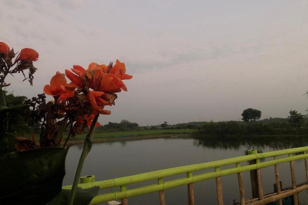 Photo of Others in Barpeta