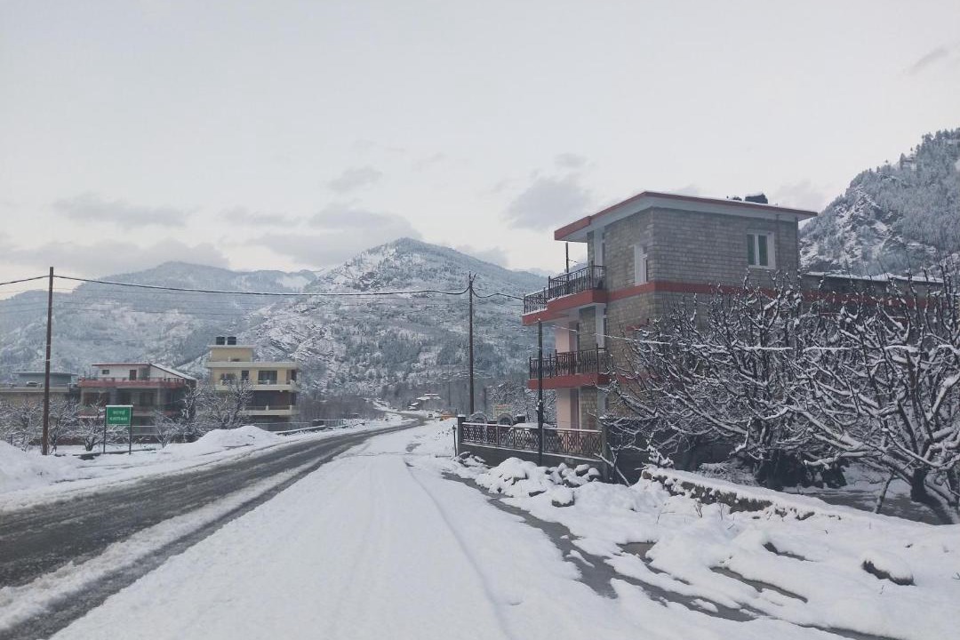 Photo of Others in Manali