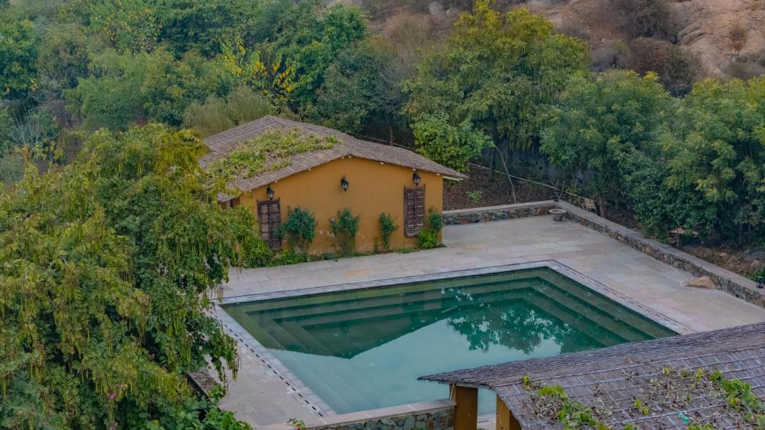 Photo of Others in Sariska