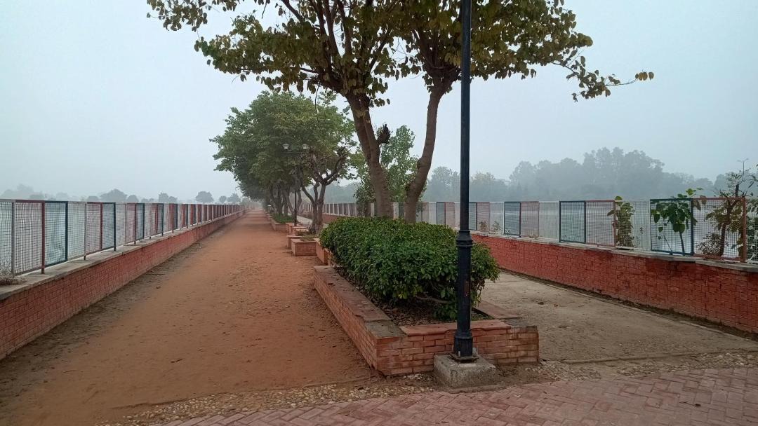 Photo of Others in Bathinda