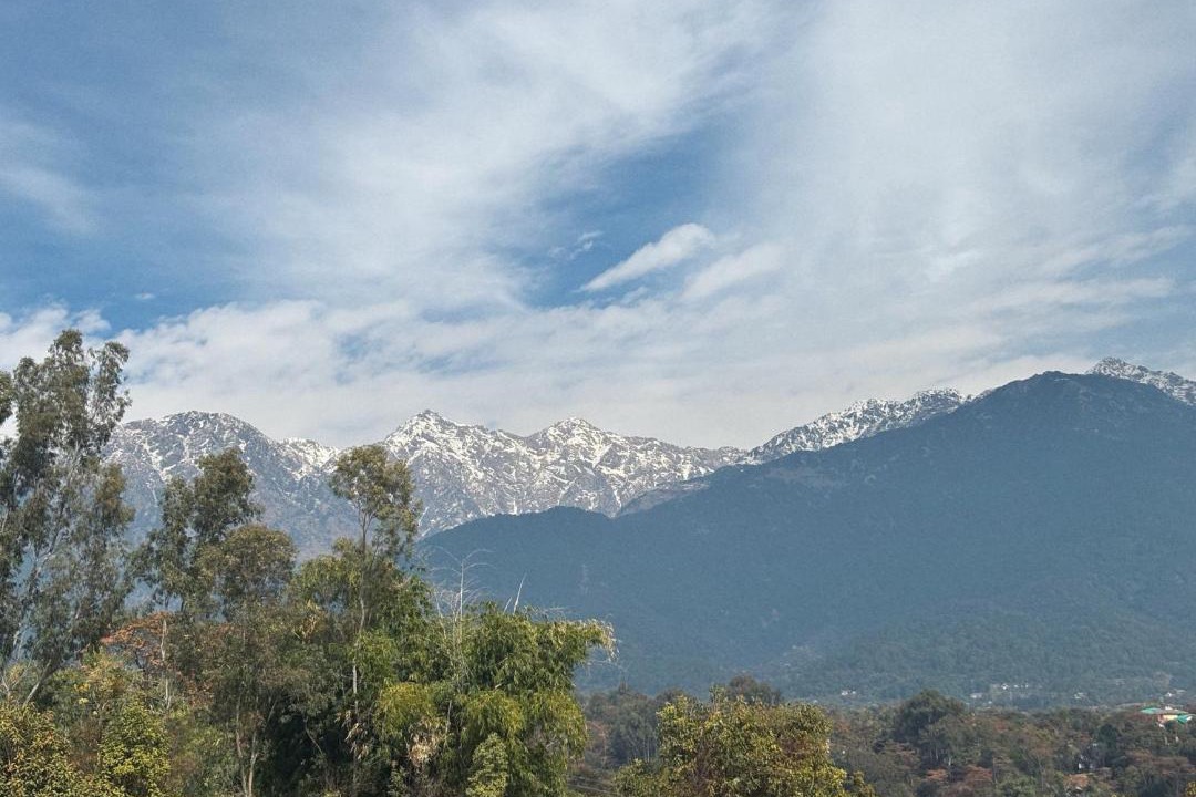Photo of Others in Palampur
