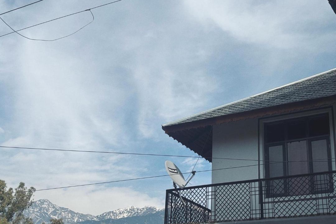 Photo of Others in Palampur