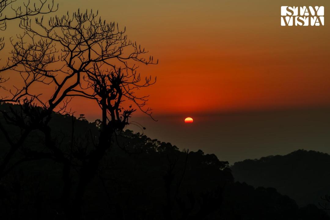 Photo of Others in Naina Range
