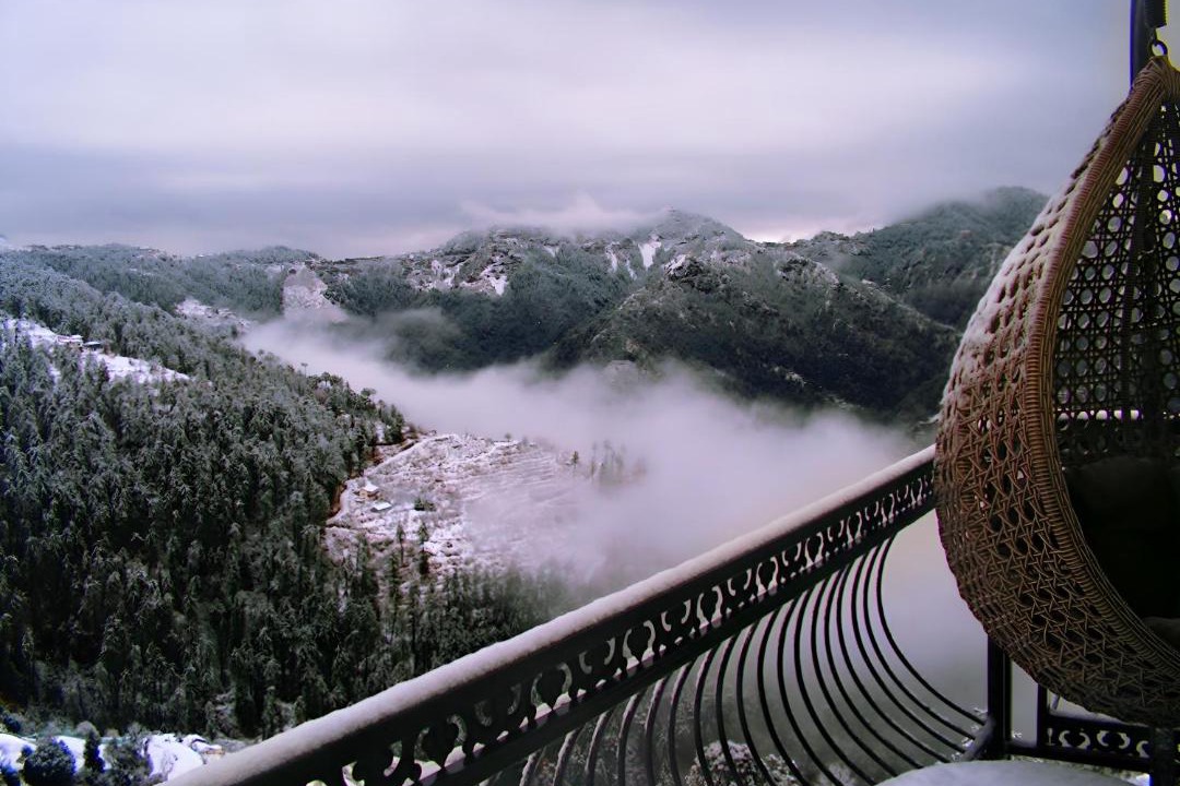 Photo of Others in Shimla