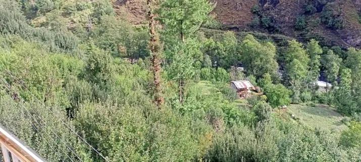 Photo of Others in Manali