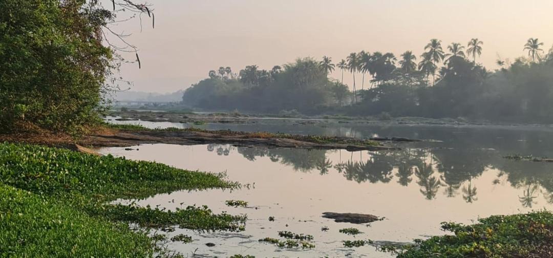 Photo of Others in Palakkad