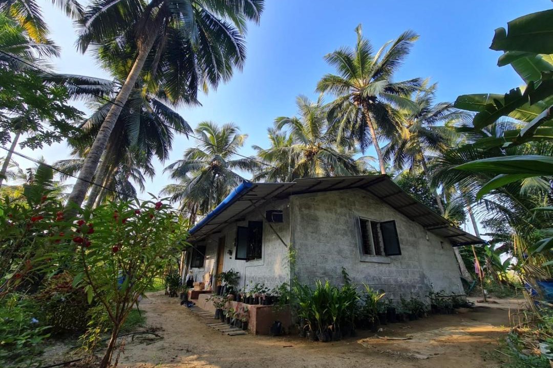 Photo of Others in Palakkad