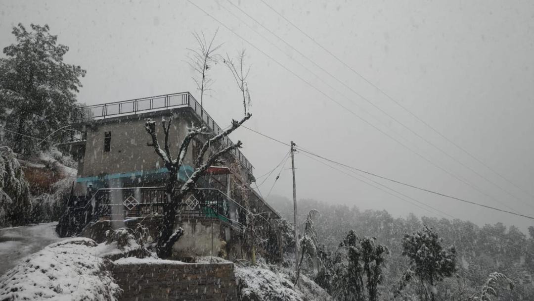 Photo of Others in Shimla