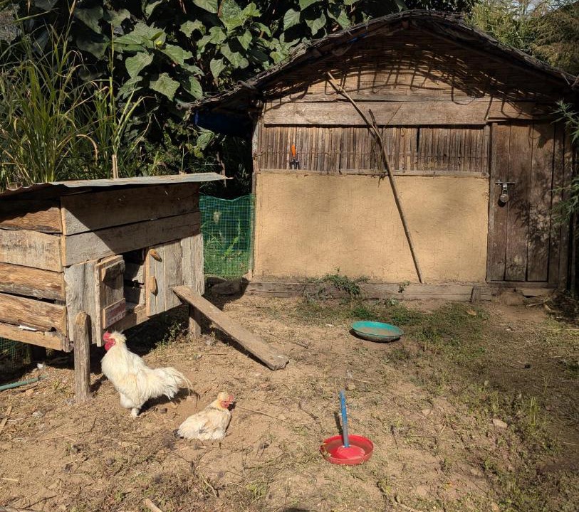 Photo of Others in Geyzing