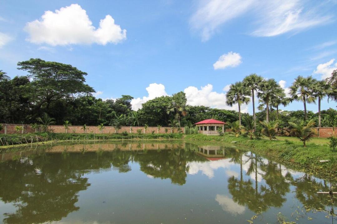 Photo of Others in Lohagara Upazila