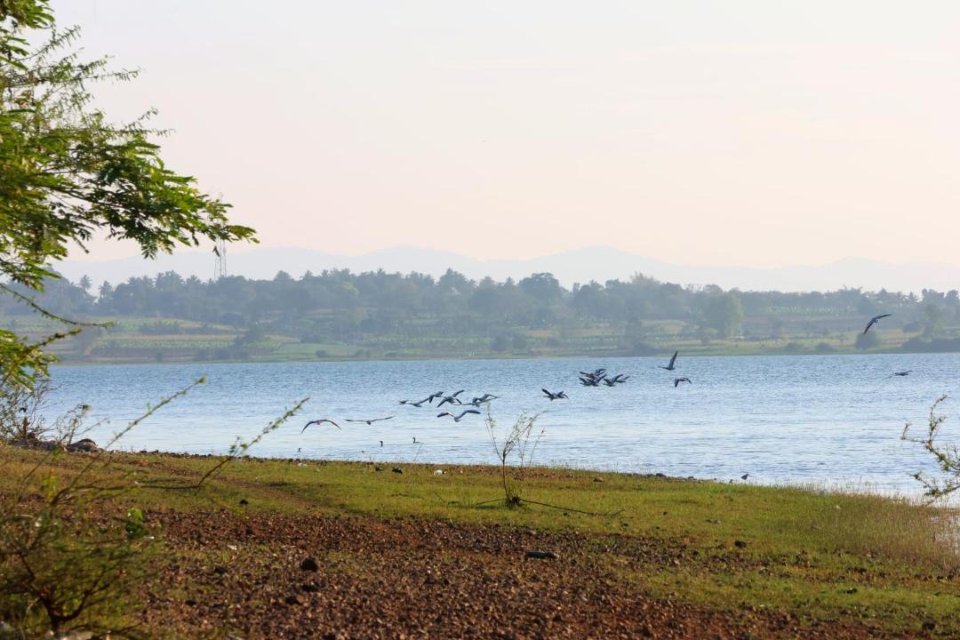 Photo of Others in Heggadadevankote