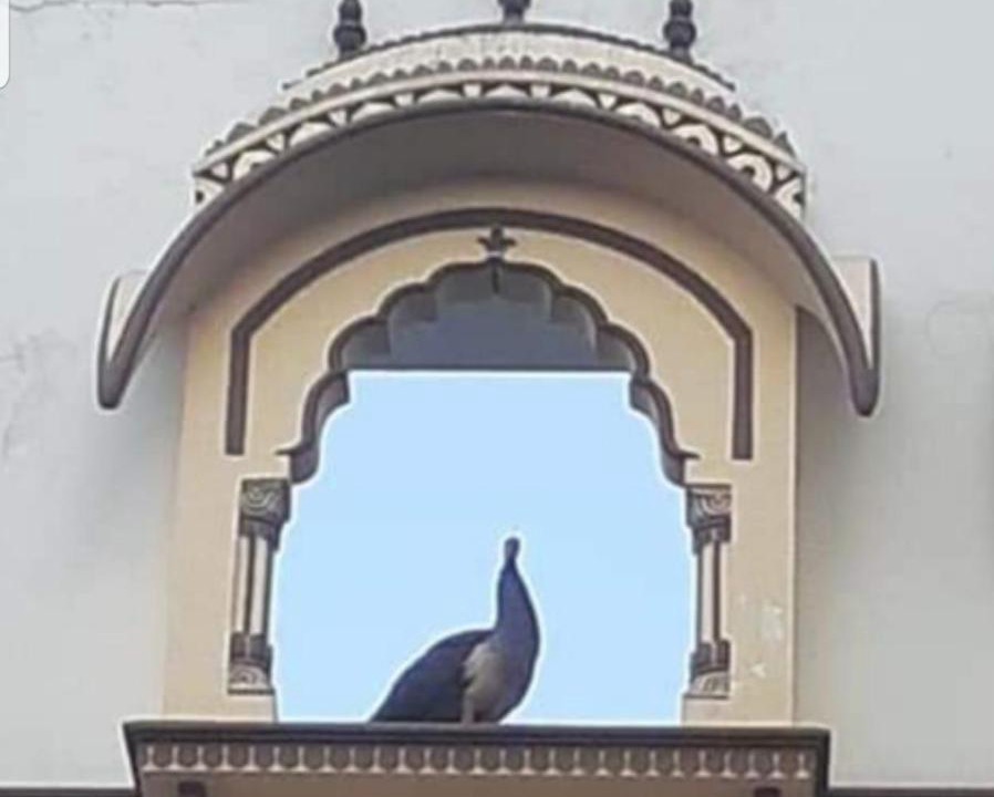 Photo of Others in Bani Park