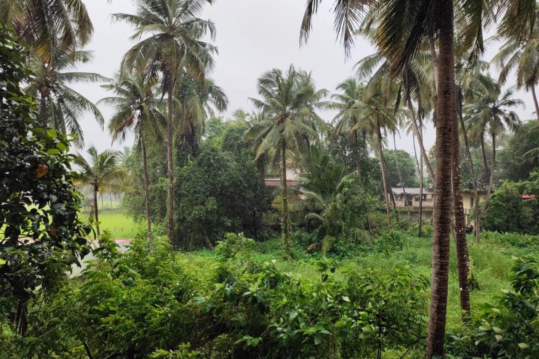 Photo of Others in Udupi