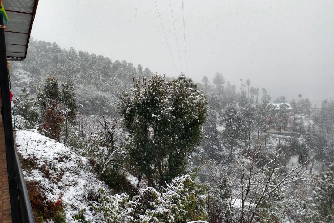 Photo of Others in Shimla