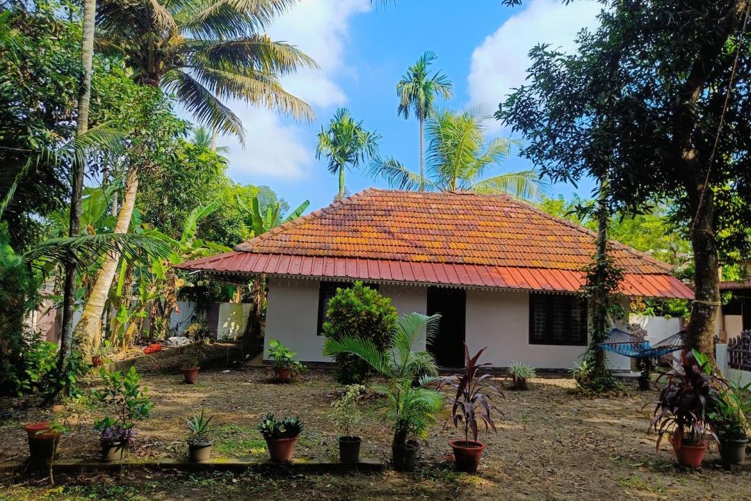 Photo of Others in Alappuzha