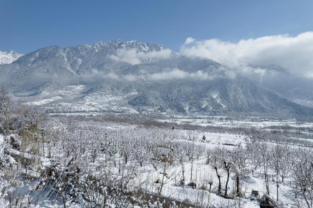 Photo of Others in Pahalgam