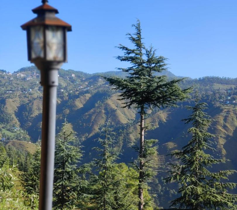 Photo of Others in Shimla