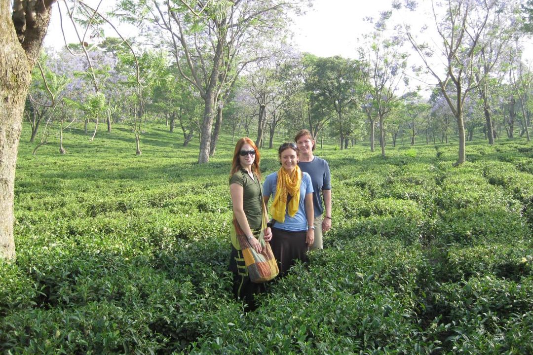 Photo of Others in Palampur