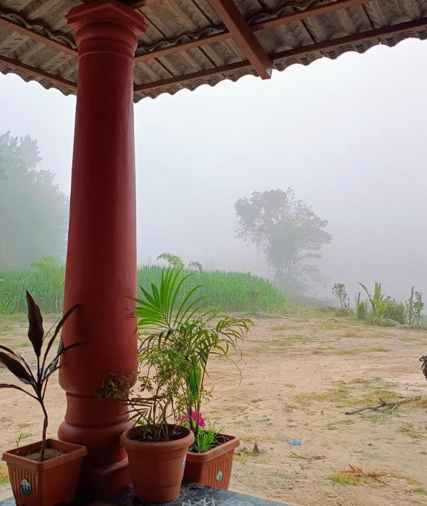 Photo of Others in Alur