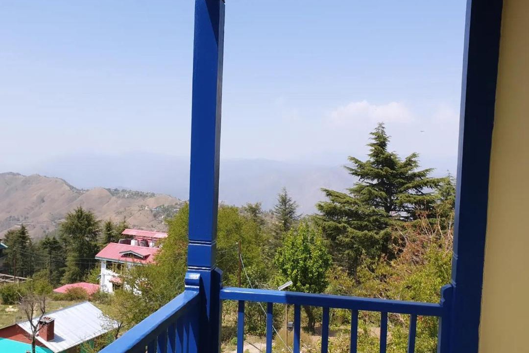 Photo of Others in Naldehra