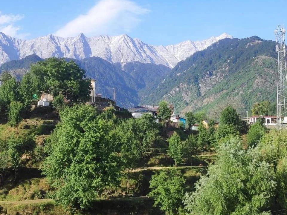 Photo of Others in Naddi