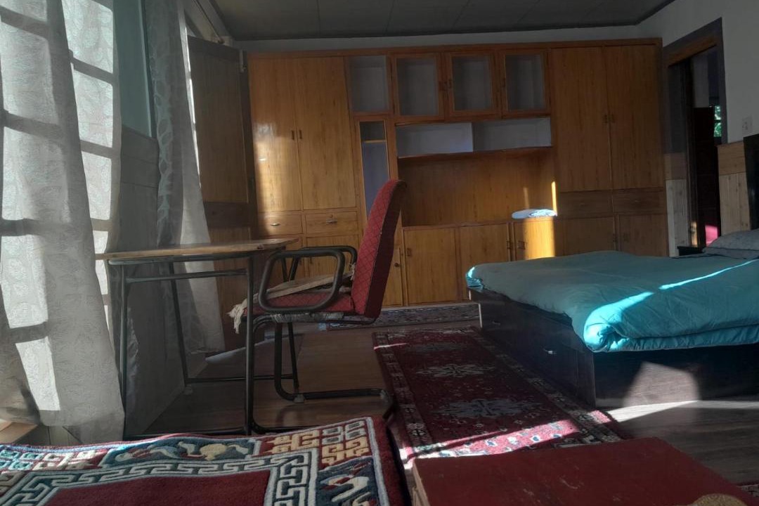 Photo of Others in Leh