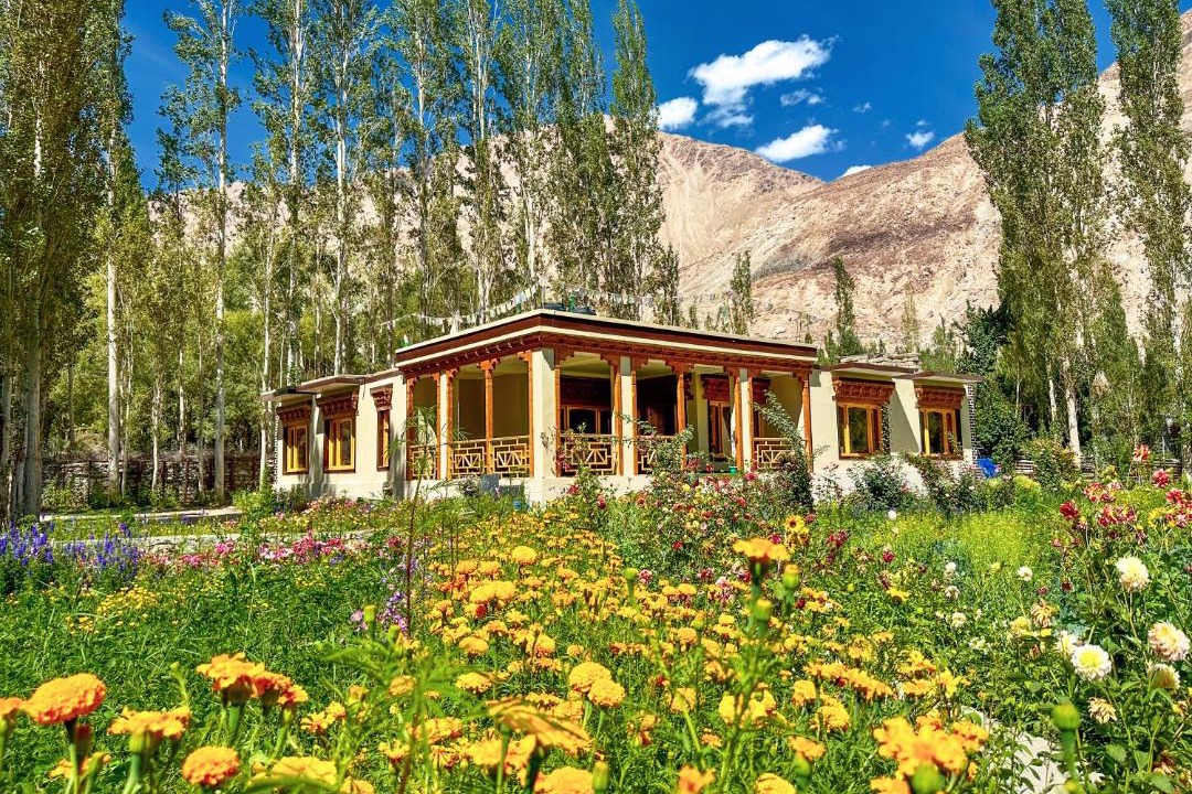 Photo of Others in Nubra Valley