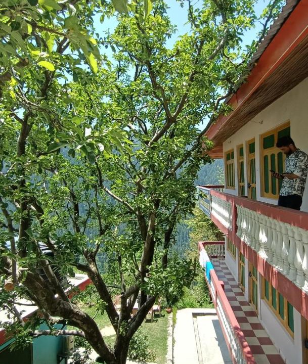 Photo of Others in Shoja