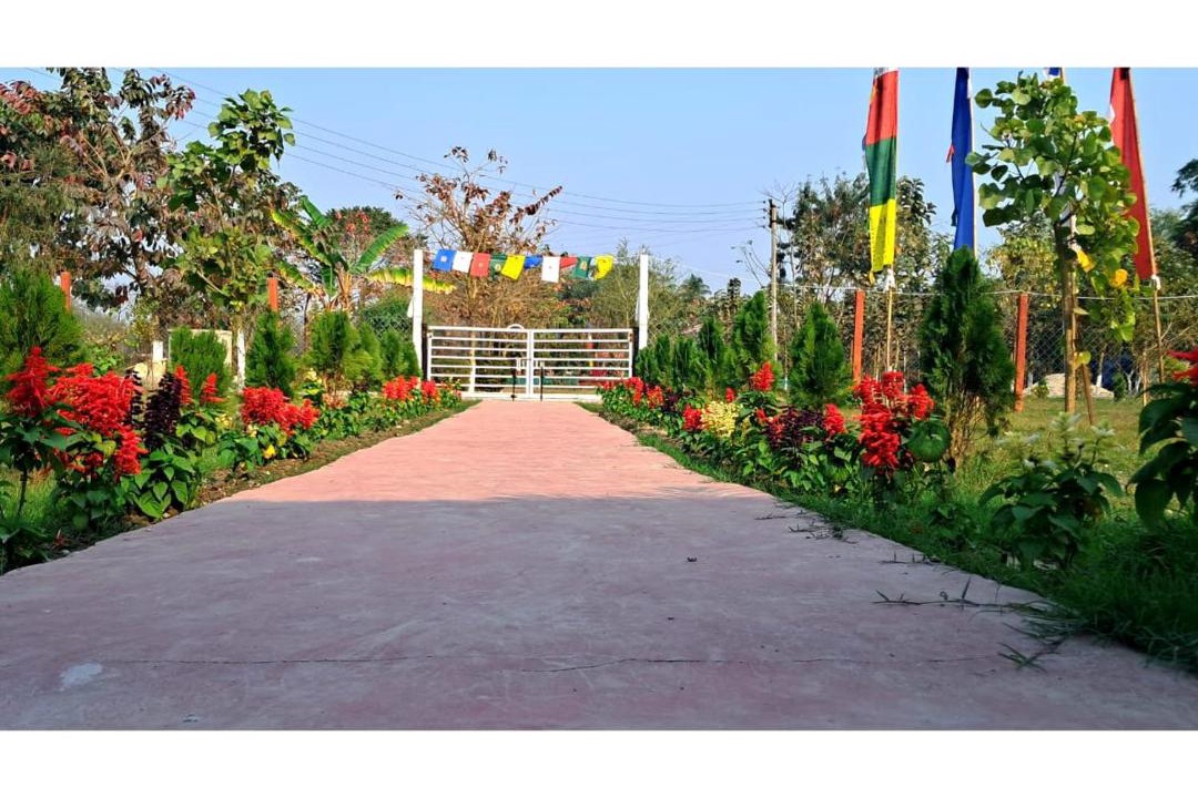 Photo of Others in Siliguri