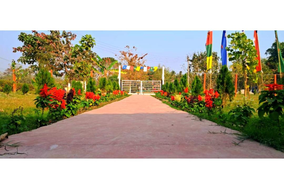 Photo of Others in Siliguri
