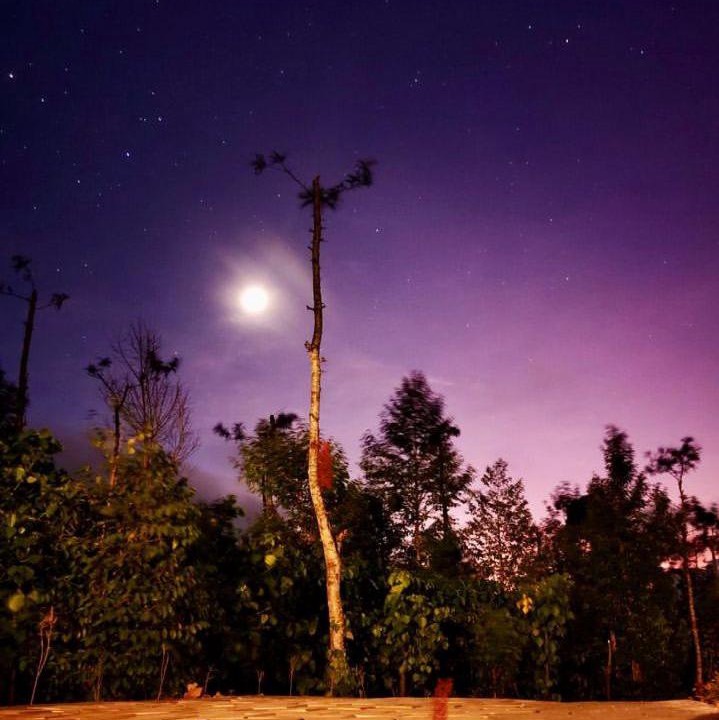 Photo of Outdoor in Alur