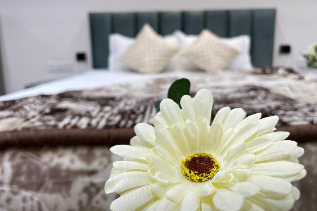 Photo of Bedroom in Sanganer