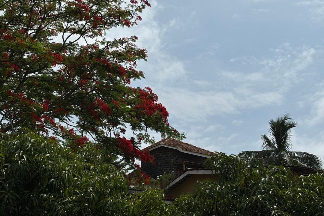 Photo of Others in Madale