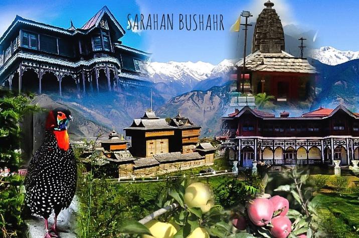 Photo of Buildings in Sarahan