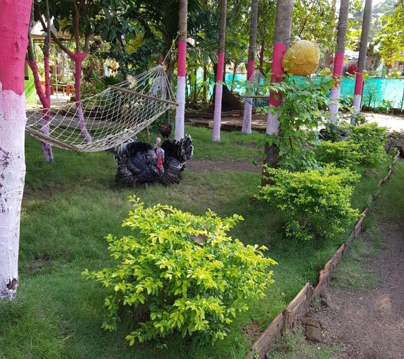 Photo of Outdoor in Akshi