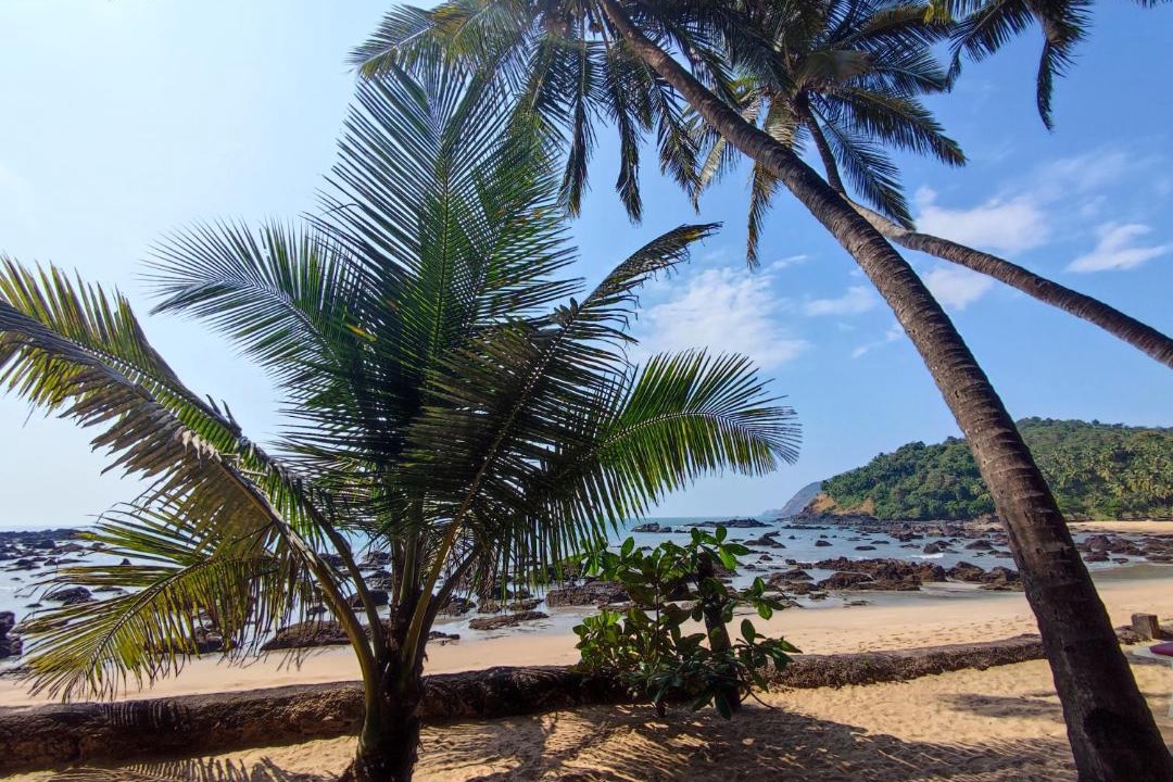 Photo of Others in Palolem