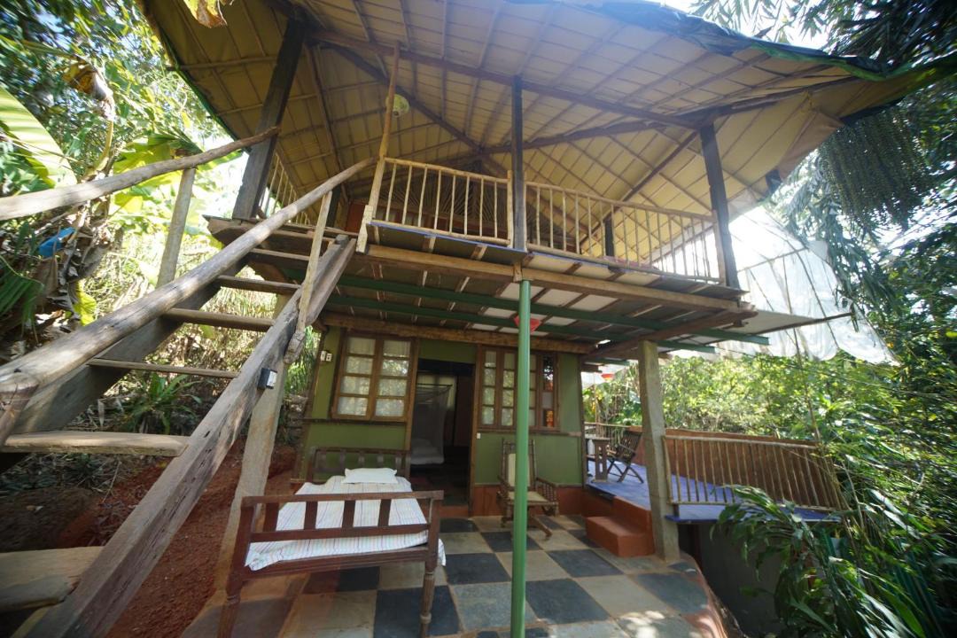 Photo of Others in Agonda