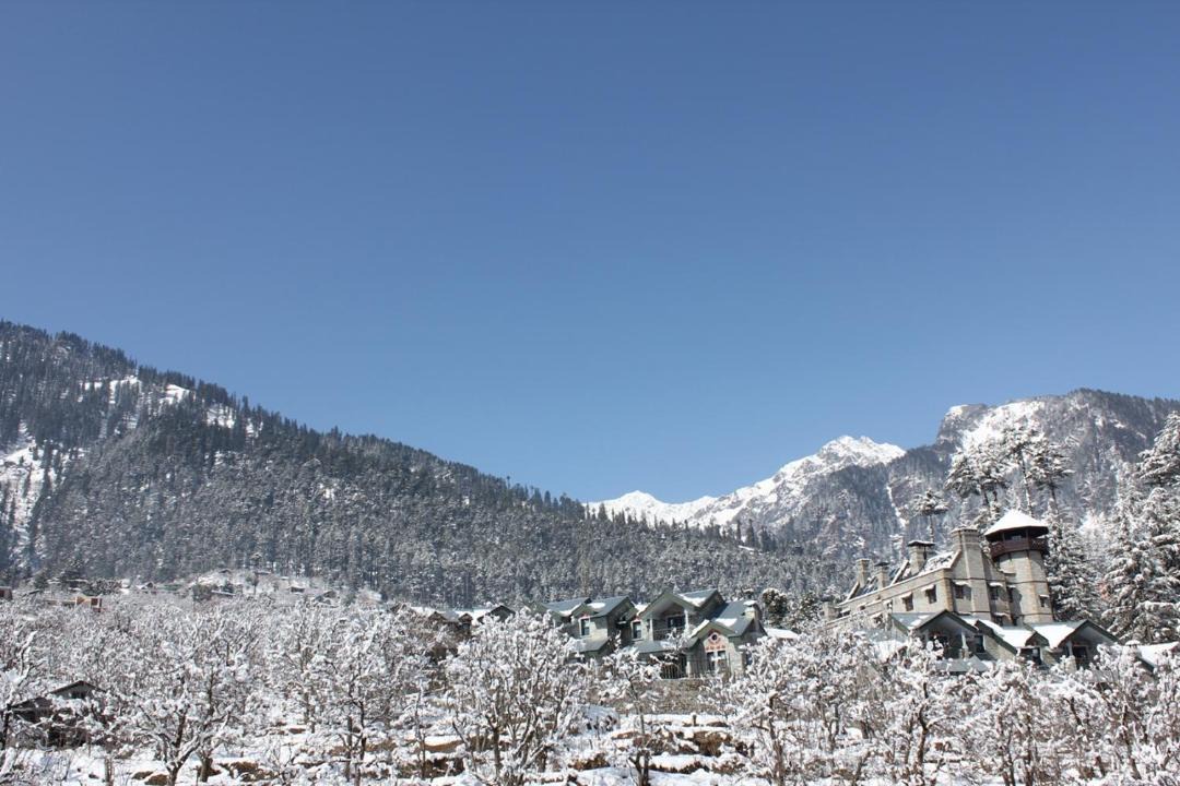 Photo of Others in Manali