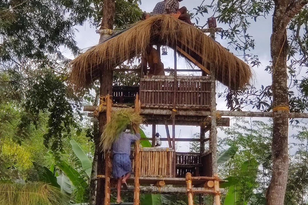 Photo of Others in Mananthavady