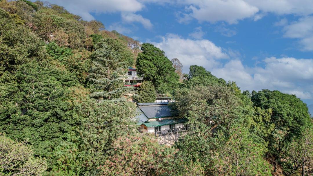 Photo of Others in Kasauli