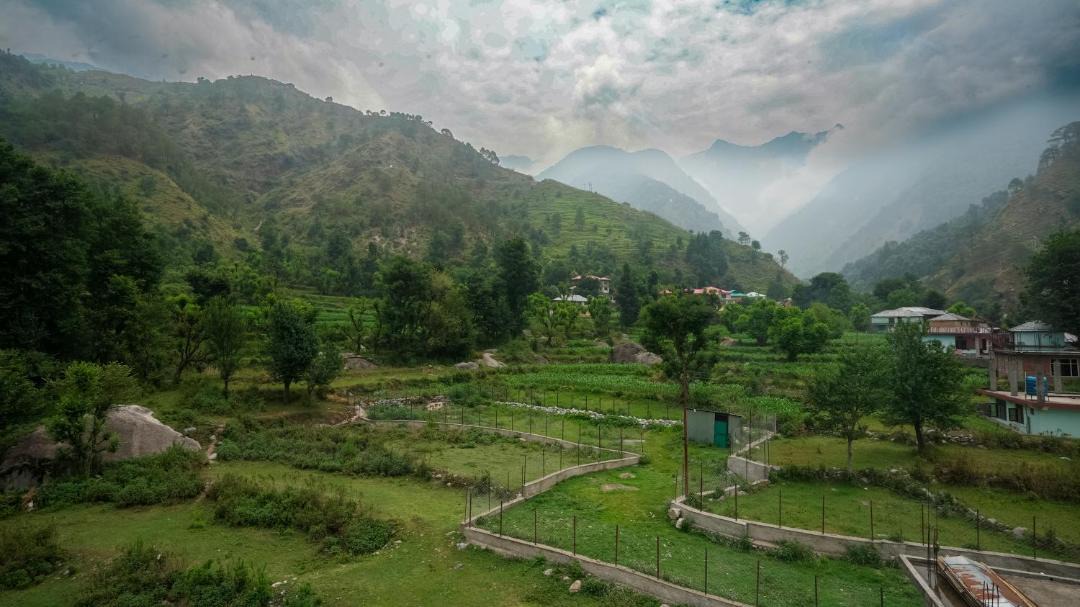 Photo of Others in Dharamshala
